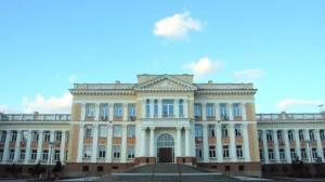 Купить диплом программиста в Владимире