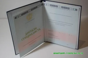 Купить диплом Находкинского инженерно-экономического института (филиала) ДВПИ им. В.В. Куйбышева — Дальневосточного государственного технического университета в Владимире